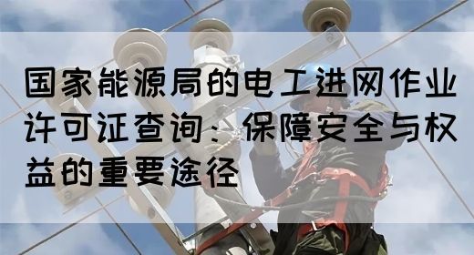 国家能源局的电工进网作业许可证查询：保障安全与权益的重要途径(图1)