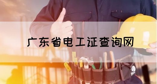 广东省电工证查询网