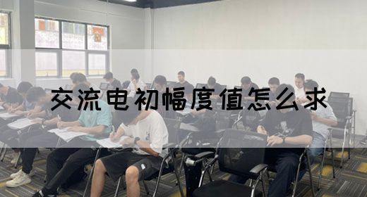 【交流电】交流电初幅度值怎么求(图1)