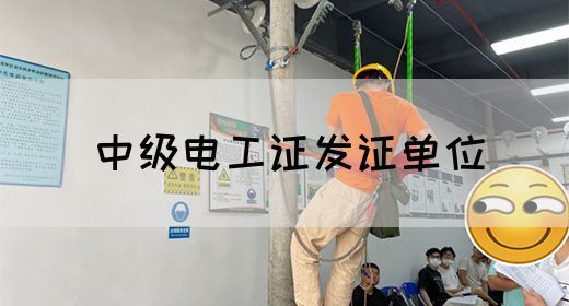 中级电工证发证单位(图1)