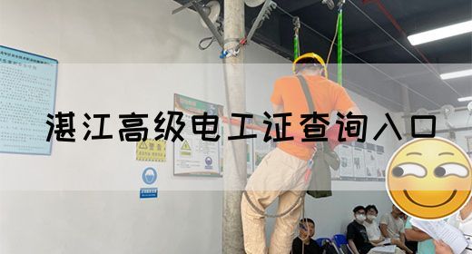 湛江高级电工证查询入口