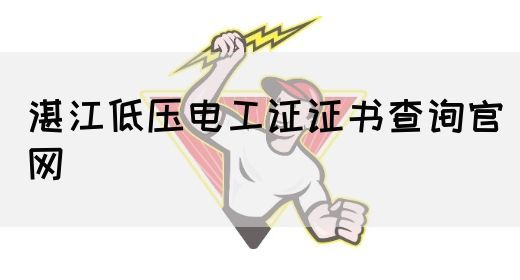 湛江低压电工证证书查询官网