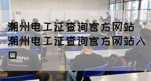 潮州电工证查询官方网站（潮州电工证查询官方网站入口）