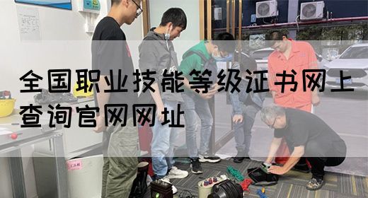 全国职业技能等级证书网上查询官网网址