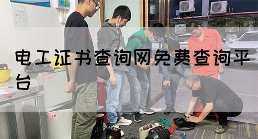 电工证书查询网免费查询平台