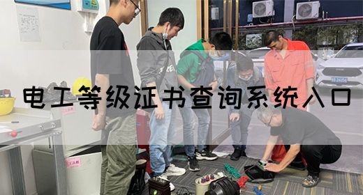 电工等级证书查询系统入口