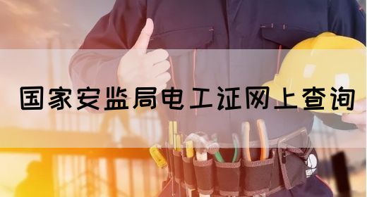 国家安监局电工证网上查询