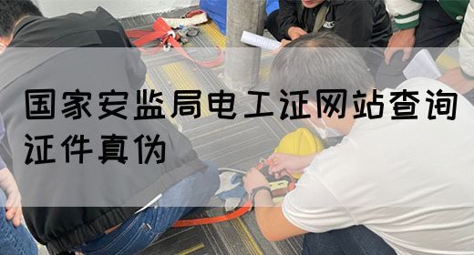 国家安监局电工证网站查询证件真伪