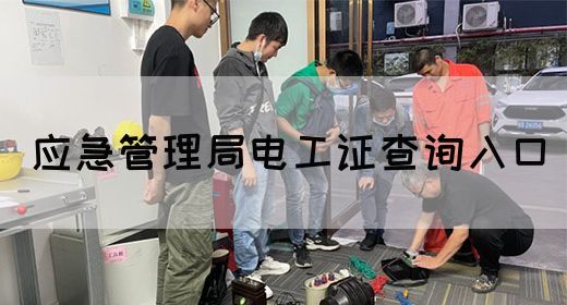 应急管理局电工证查询入口